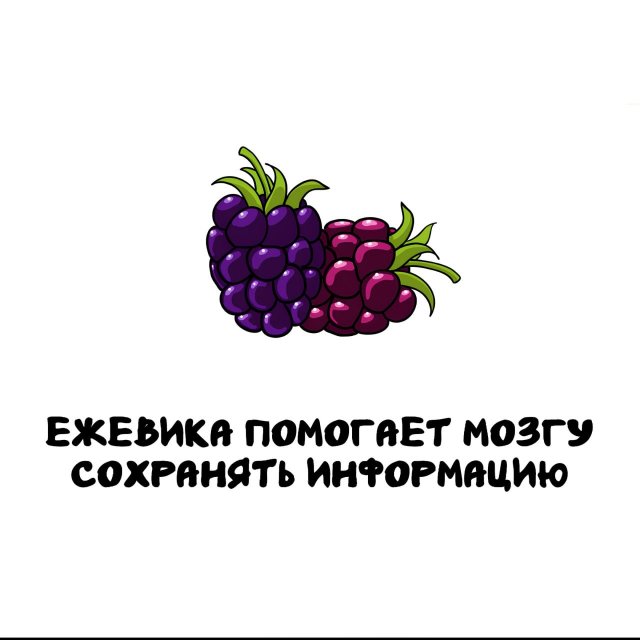 Интересные факты на все случаи жизни