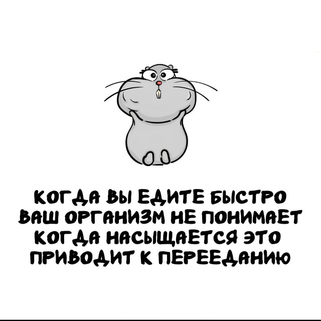 Интересные факты на все случаи жизни