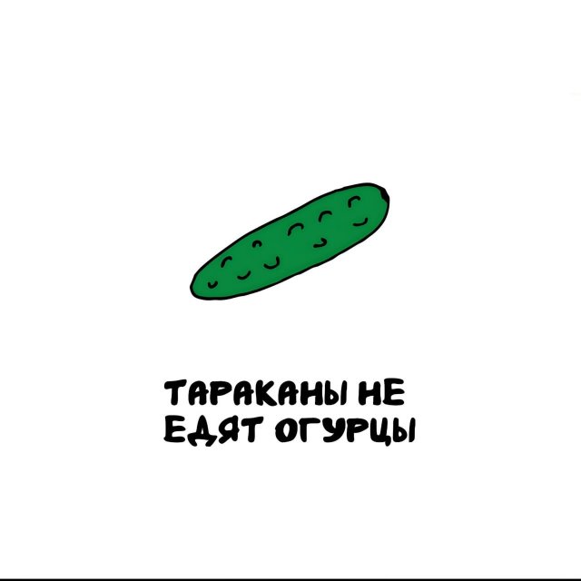 Интересные факты на все случаи жизни