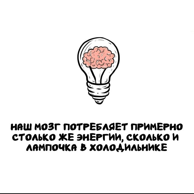 Интересные факты на все случаи жизни