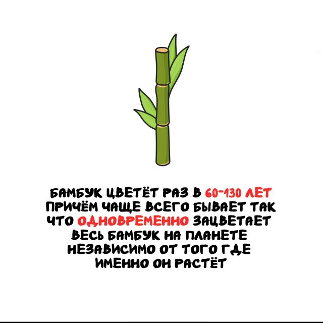 Интересные факты на все случаи жизни