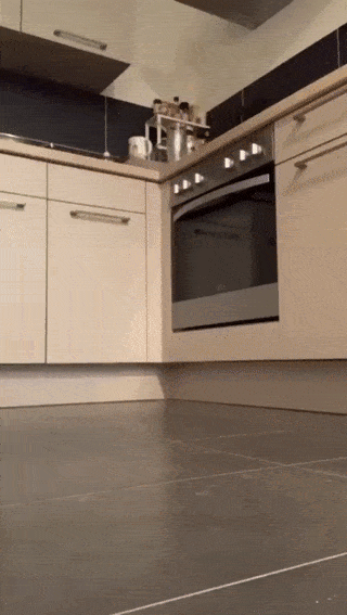 Подборка гифок -  11.12.2025