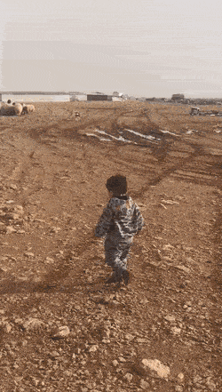 Подборка гифок -  11.12.2025