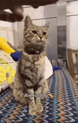 Подборка гифок -  11.12.2025