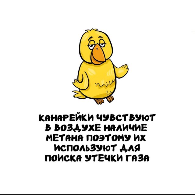 Интересные факты на все случаи жизни