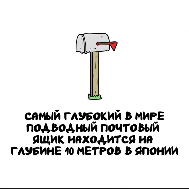 Интересные факты на все случаи жизни