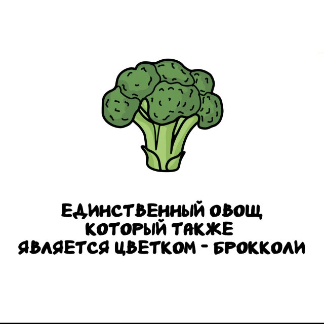 Интересные факты на все случаи жизни