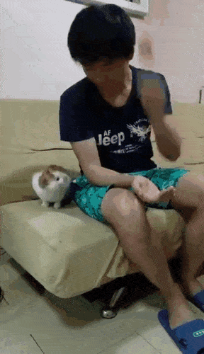 Подборка гифок -  12.12.2025