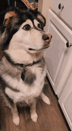 Подборка гифок -  12.12.2025