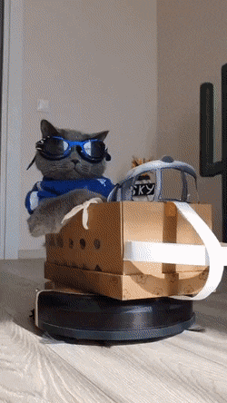 Подборка гифок -  12.12.2025