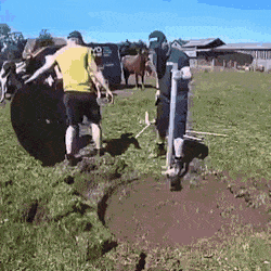 Подборка гифок -  12.12.2025