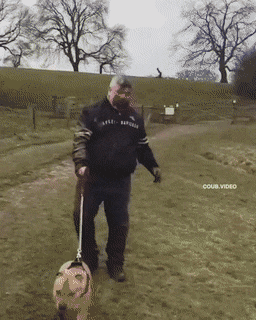 Подборка гифок -  12.12.2025