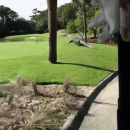 Подборка гифок -  12.12.2025