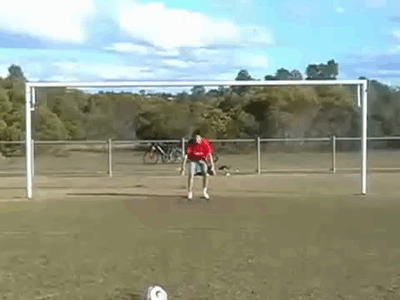 Подборка гифок -  12.12.2025