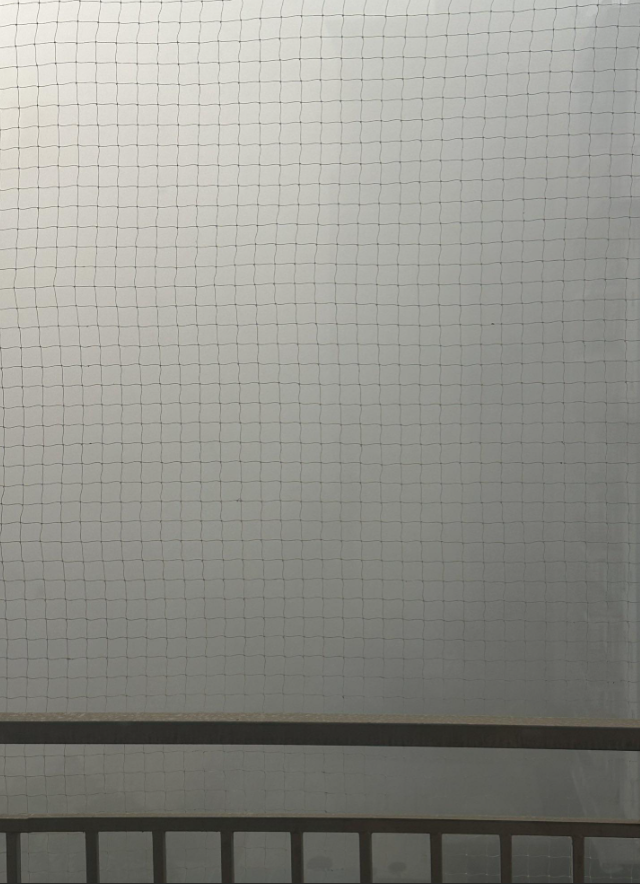 Вид с балкона в Дели