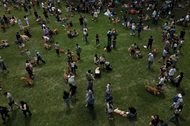 Самый милый мировой рекорд в Буэнос-Айресе