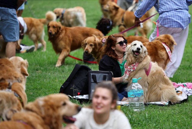 Самый милый мировой рекорд в Буэнос-Айресе