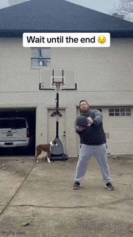 Подборка гифок -  15.12.2025