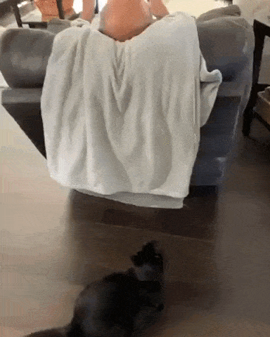 Подборка гифок -  15.12.2025