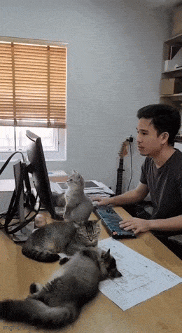 Подборка гифок -  15.12.2025