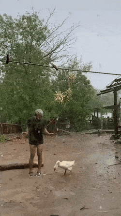 Подборка гифок -  15.12.2025