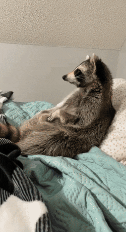 Подборка гифок -  15.12.2025