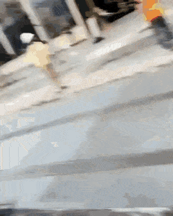 Подборка гифок -  15.12.2025