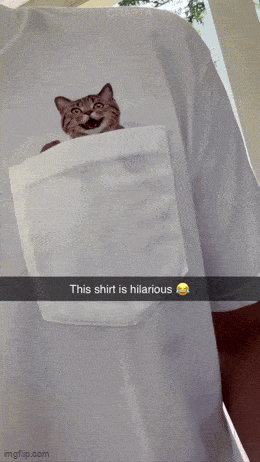 Подборка гифок -  15.12.2025