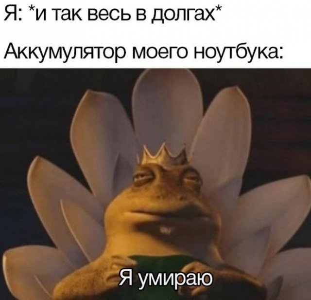 Лучшие шутки и мемы из Сети - 15.12.2025