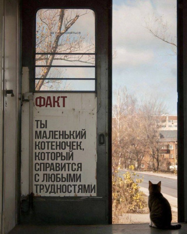 Лучшие шутки и мемы из Сети - 15.12.2025