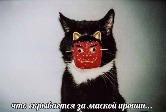 Лучшие шутки и мемы из Сети - 15.12.2025