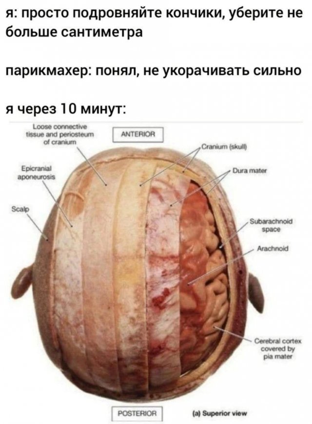 Лучшие шутки и мемы из Сети - 15.12.2025