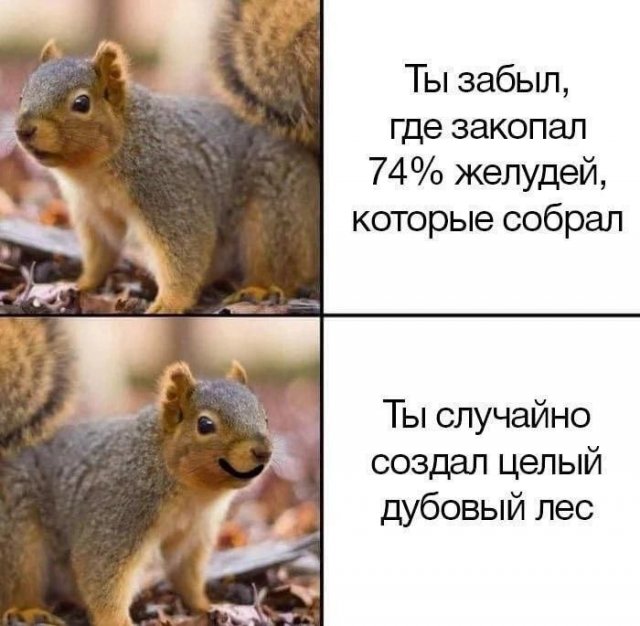 Лучшие шутки и мемы из Сети - 15.12.2025