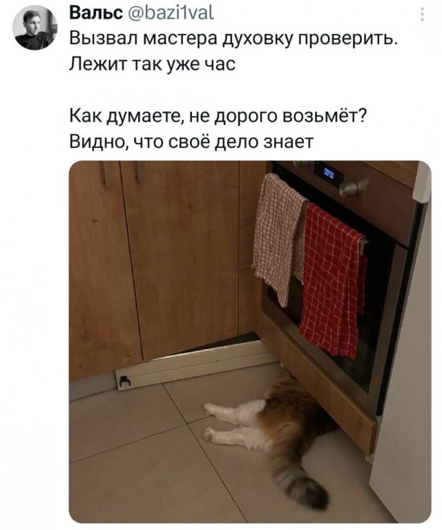 Лучшие шутки и мемы из Сети - 15.12.2025