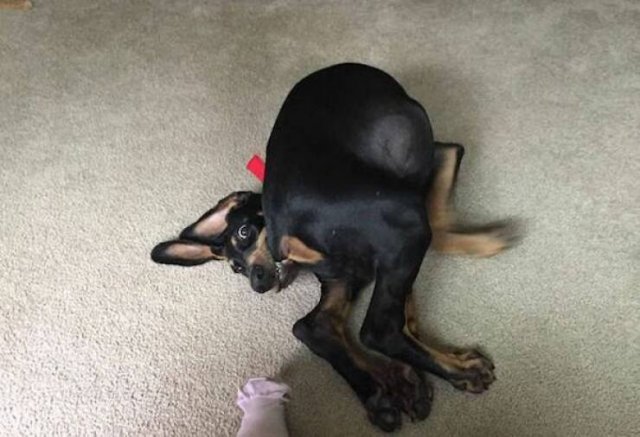 Подборка картинок. Вечерний выпуск - 15.12.2025