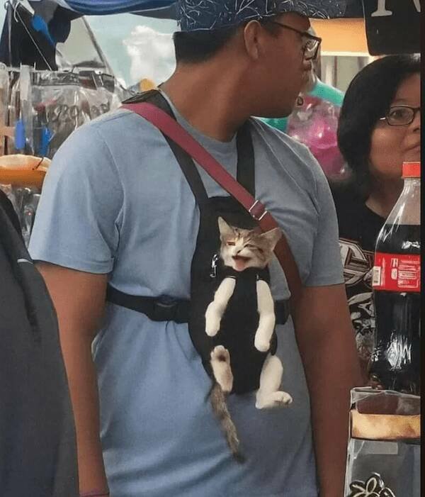 Подборка картинок. Вечерний выпуск - 15.12.2025