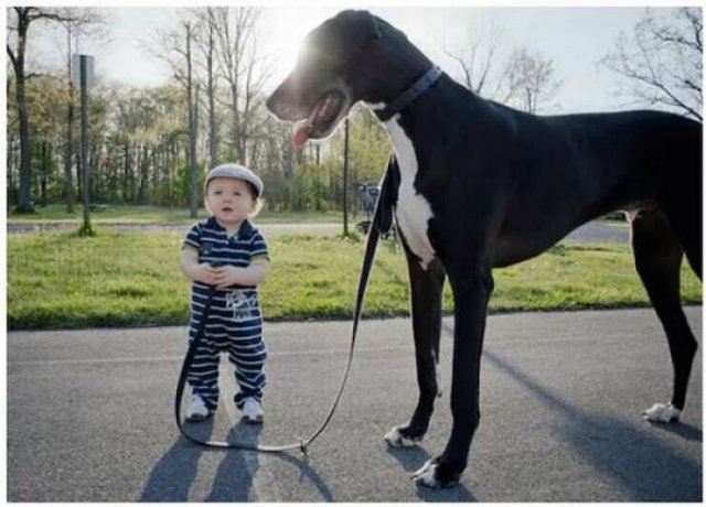 Подборка картинок. Вечерний выпуск - 15.12.2025