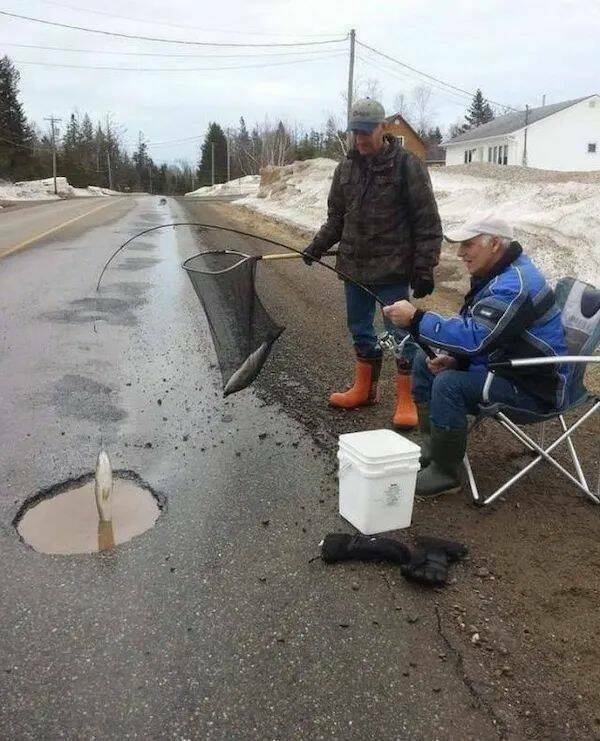 Подборка картинок. Вечерний выпуск - 15.12.2025