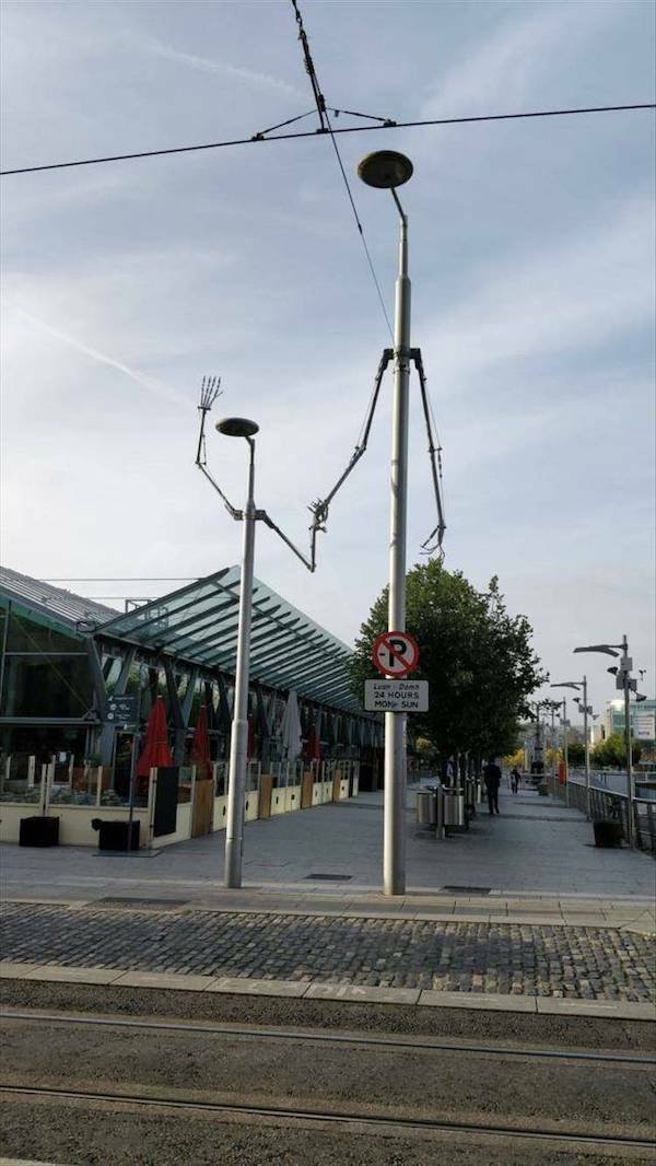 Подборка картинок. Вечерний выпуск - 15.12.2025