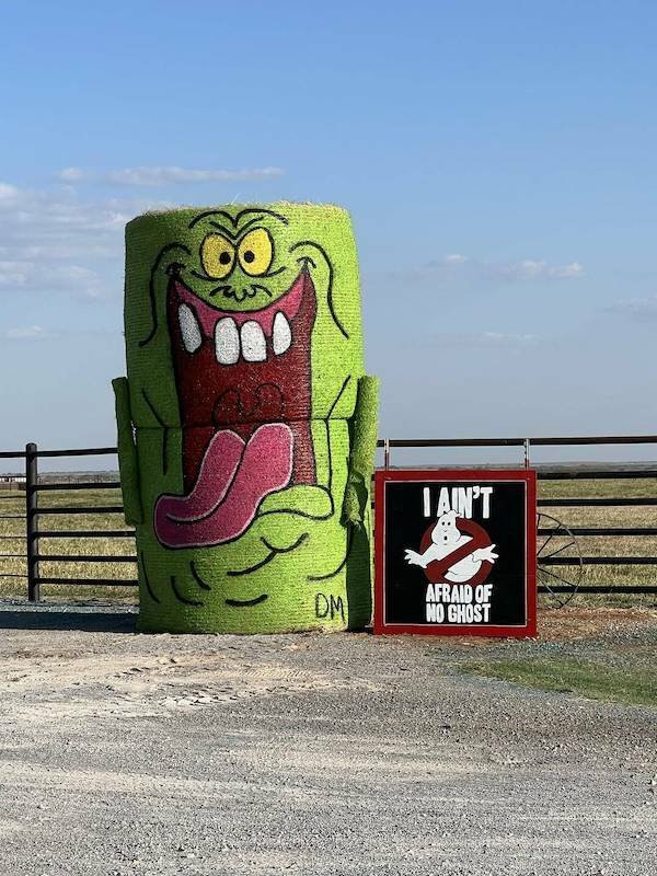 Подборка картинок. Вечерний выпуск - 15.12.2025