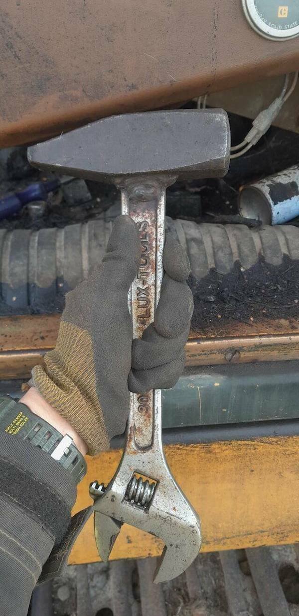 Подборка картинок. Вечерний выпуск - 15.12.2025