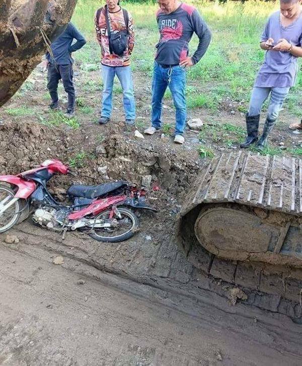 Подборка картинок. Вечерний выпуск - 15.12.2025