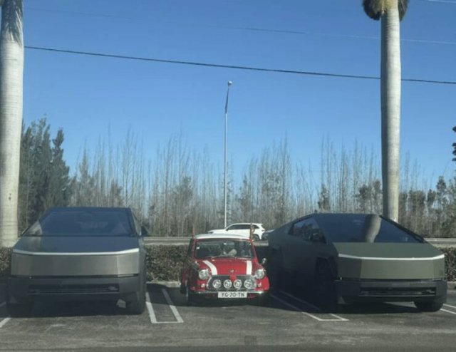 Подборка картинок. Вечерний выпуск - 15.12.2025