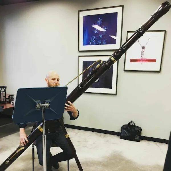 Подборка картинок. Вечерний выпуск - 15.12.2025