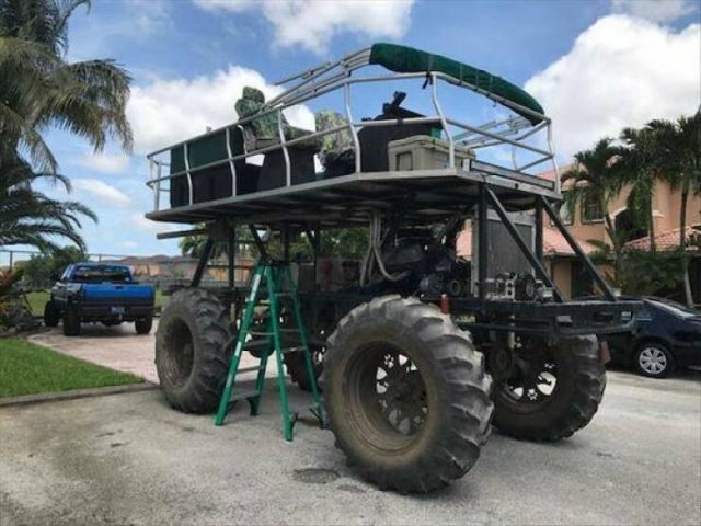 Подборка картинок. Вечерний выпуск - 15.12.2025