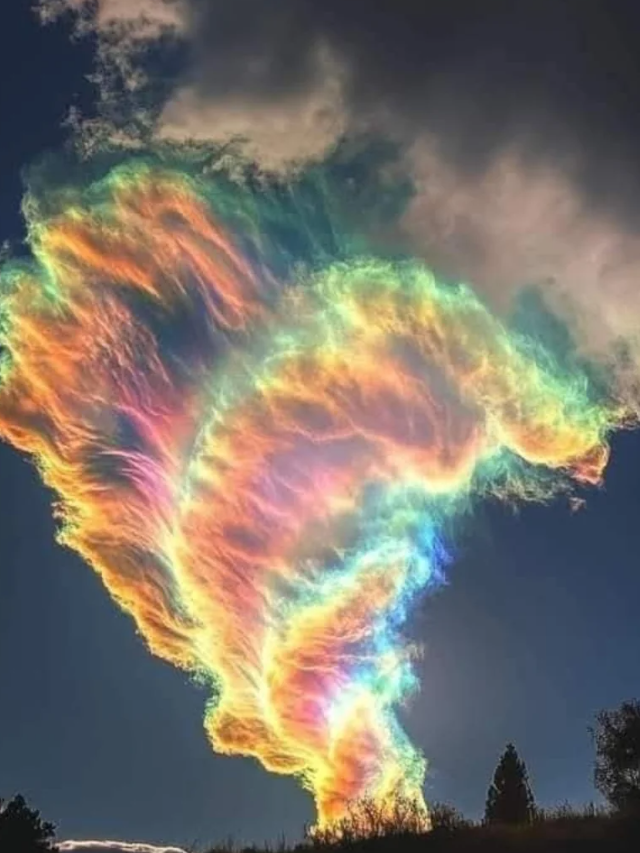 Подборка радуг в холодный день