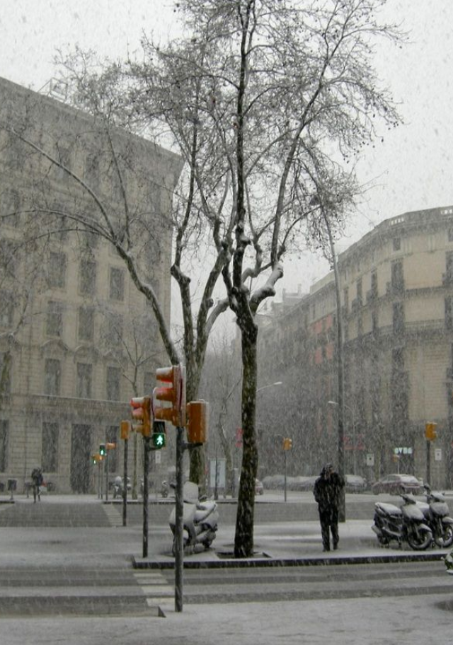 Зима в разных городах