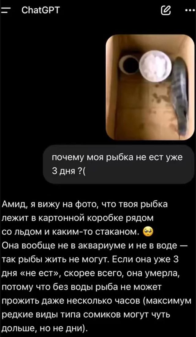 Парень довел ChatGPT