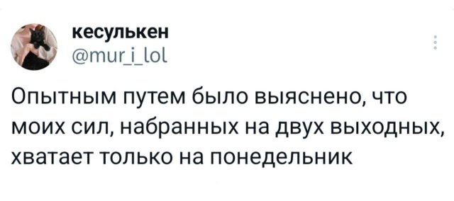 Подборка забавных твитов обо всем