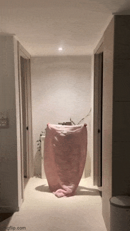 Подборка гифок -  15.12.2025